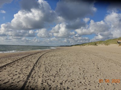 Holiday house right by the sea - Environment photo 28