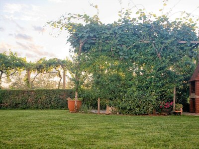 Apartment Sandra No.2 - Environment photo 22