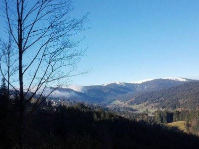 Holiday apartment Haus Schmidt Feldberg - Environment photo 14