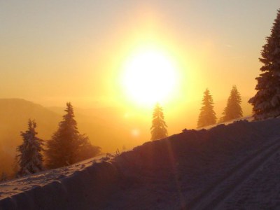 Holiday apartment Haus Schmidt Feldberg - Environment photo 15