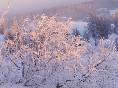 Holiday apartment Haus Schmidt Feldberg - Environment photo 16