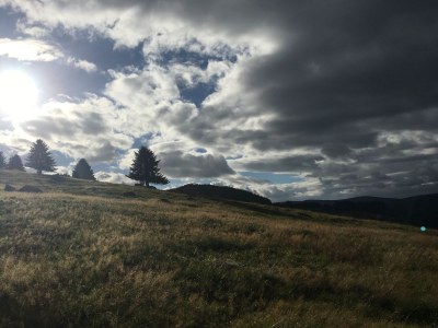 Holiday apartment Haus Schmidt Feldberg - Environment photo 18