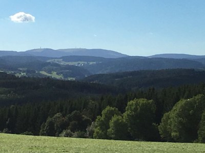 Holiday apartment Haus Schmidt Feldberg - Environment photo 19