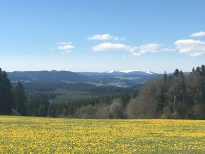 Holiday apartment Haus Schmidt Feldberg - Environment photo 21