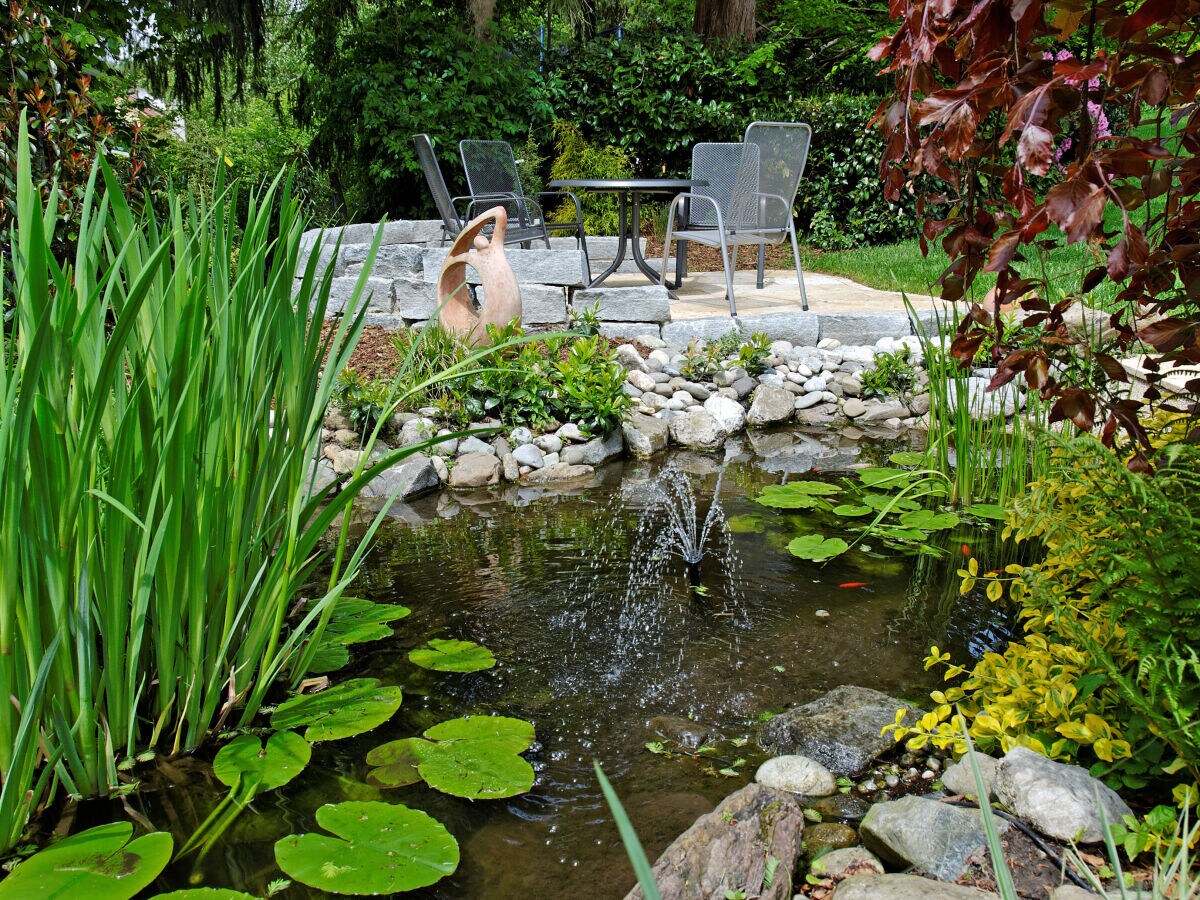 Holiday apartment Haus Angelika - Outdoor photo 4