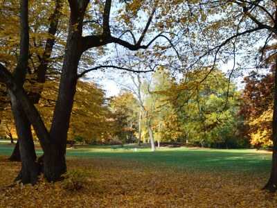 Holiday apartment Behnke - Environment photo 9