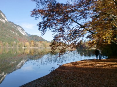 Holiday apartment Mariacher - Environment photo 17
