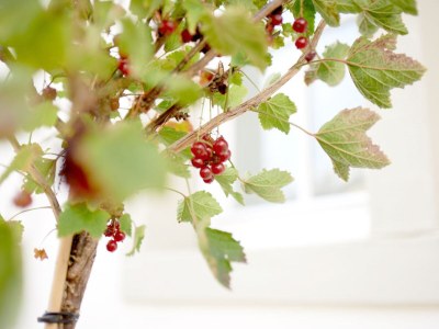 Holiday apartment Maarberry - Outdoor photo 4