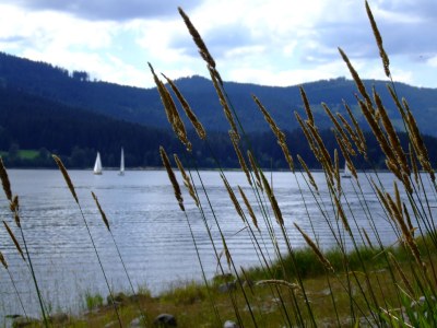 Holiday apartment Christine - Environment photo 24