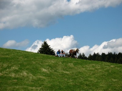 Holiday apartment Christine - Environment photo 26