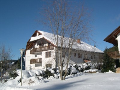 Holiday apartment Haus an der Gutach Nr. 10 - Outdoor photo 4