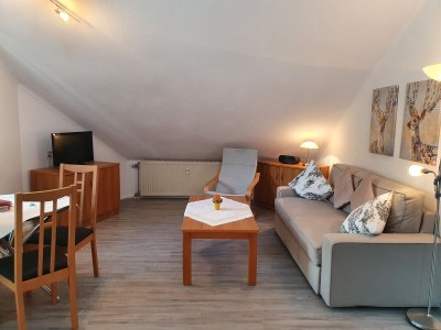 Holiday apartment Haus an der Gutach Nr. 10 - Features photo 5