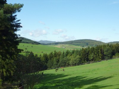 Holiday apartment Tannenhof - Environment photo 15