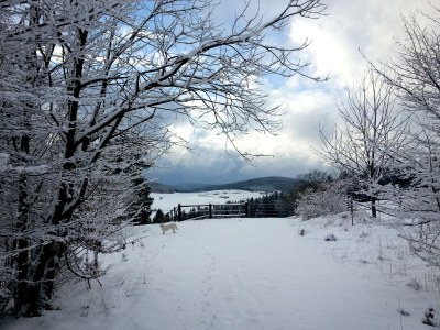 Holiday apartment Tannenhof - Environment photo 19