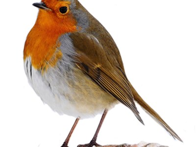 Holiday apartment Tannenhof - Document photo 22