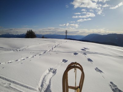 Holiday apartment Haus Sonnschein - Environment photo 25