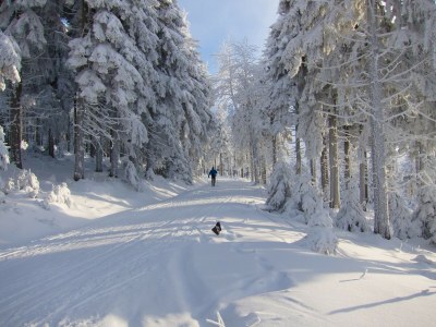 Holiday apartment Haus Sonnschein - Environment photo 26