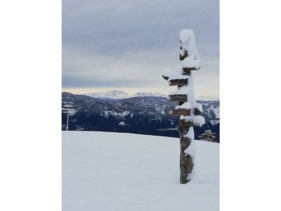 Holiday apartment Haus Sonnschein - Environment photo 29