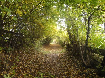 Holiday apartment Haus Sonnschein - Environment photo 33