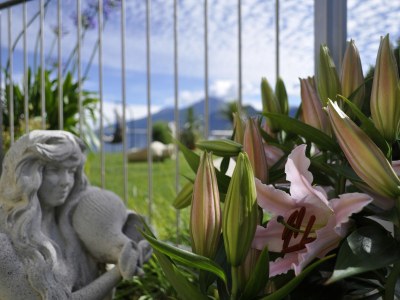 Holiday apartment Himmelreich am Niederhof - Outdoor photo 11