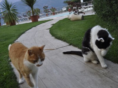 Holiday apartment Himmelreich am Niederhof - Outdoor photo 15