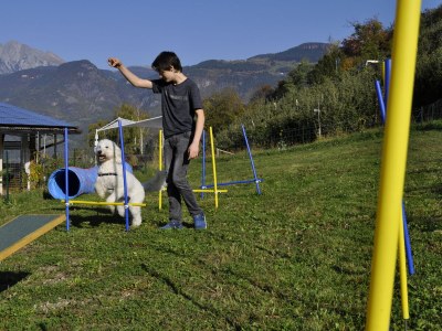 Holiday apartment Himmelreich am Niederhof - Outdoor photo 18