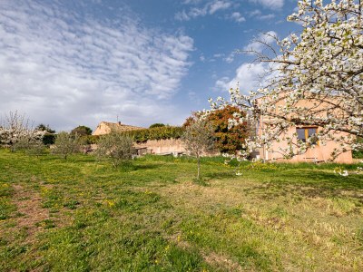 Holiday house Charming holiday house with pool - 904 ANS - Outdoor photo 13