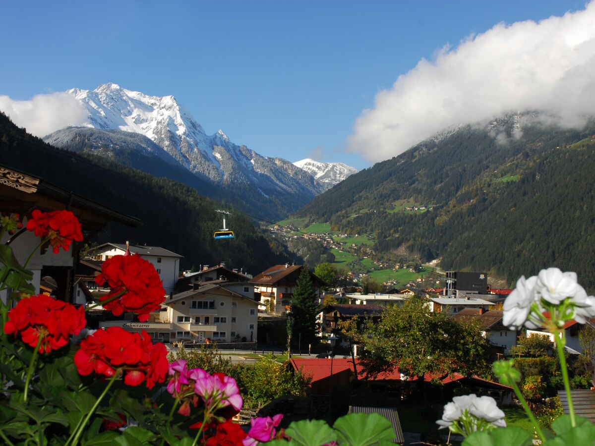 Holiday apartment Flat Ahornblick - Outdoor photo 3