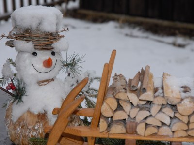 Holiday apartment Flat Ahornblick - Features photo 15