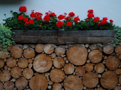 Holiday apartment Flat Ahornblick - Features photo 18