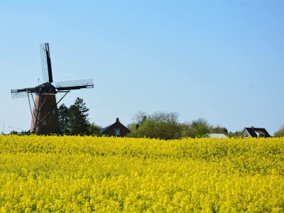 Bungalow de Keunick 1 - Environment photo 16