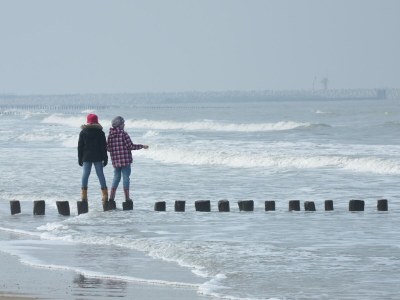 Bungalow de Keunick 1 - Environment photo 25