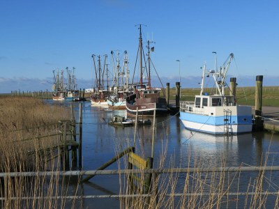 Holiday house Haus Meerglück - Environment photo 25