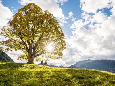 Holiday apartment Süß - Environment photo 18