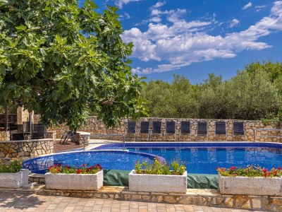 Holiday apartment in villa Haya - Outdoor photo 8