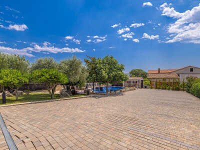 Holiday apartment in villa Haya - Outdoor photo 14