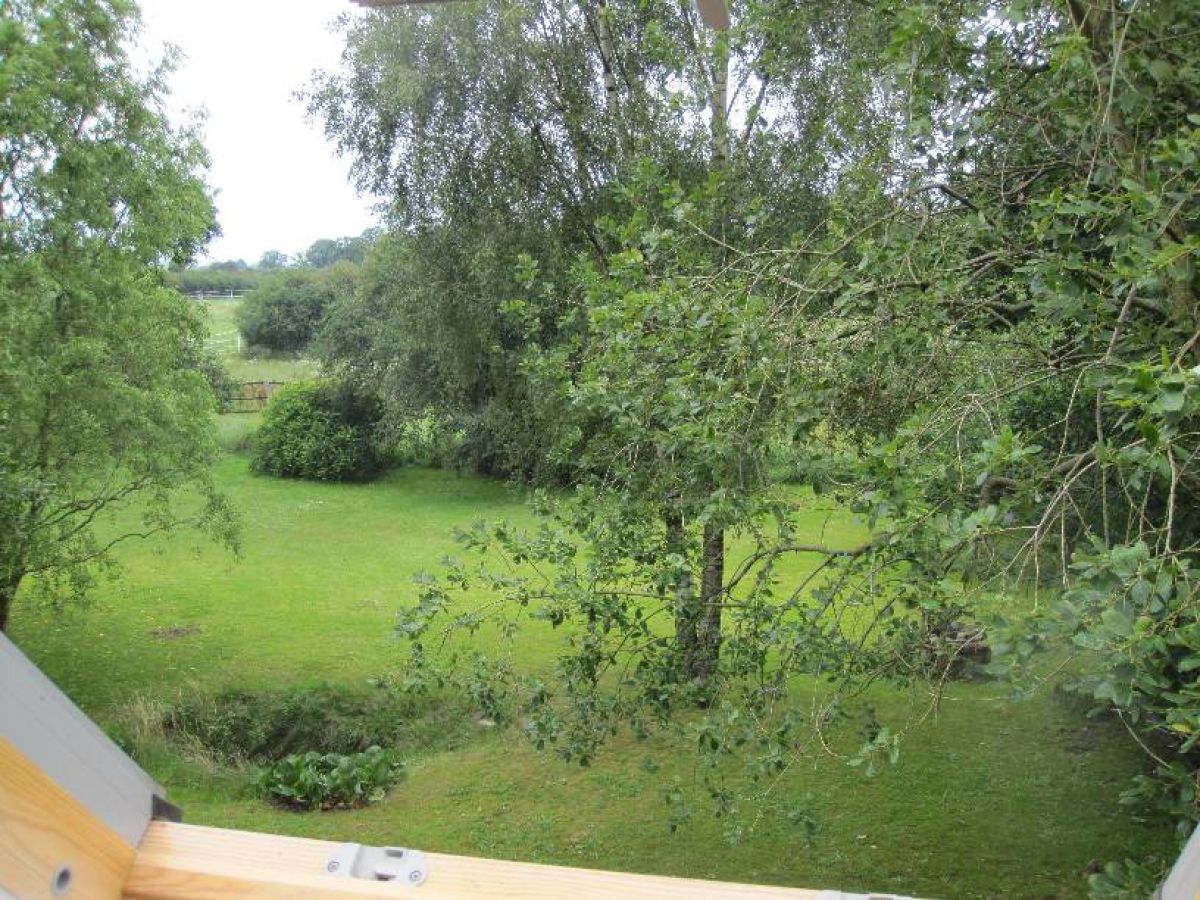 Holiday apartment Small apartment in Klein-Grindau - Outdoor photo 4