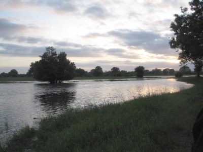 Holiday apartment Small apartment in Klein-Grindau - Environment photo 17