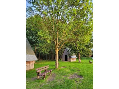 Holiday house Himmlisch Himmelpfort Haustyp A - Outdoor photo 16