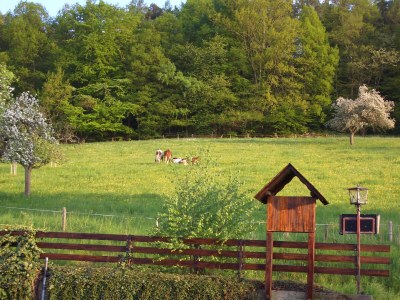 Holiday apartment House Fernblick (good view) Flat 1 - Features photo 14