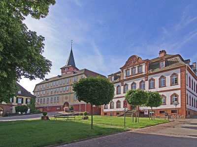 Holiday apartment House Fernblick (good view) Flat 1 - Environment photo 17