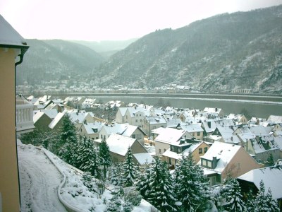 Holiday apartment Rheinblick - Outdoor photo 6