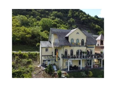 Holiday apartment Rheinblick - Outdoor photo 11