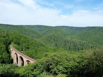 Holiday apartment RheinWeinBoppard - Environment photo 26