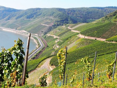 Holiday apartment RheinWeinBoppard - Environment photo 27