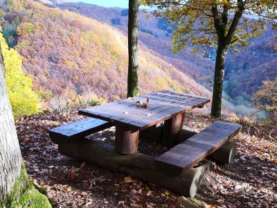 Holiday apartment RheinWeinBoppard - Environment photo 31