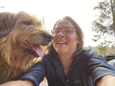 Holiday apartment RheinWeinBoppard - Environment photo 39