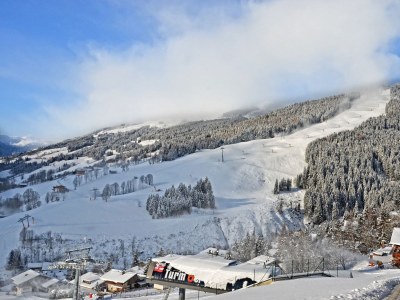 Holiday apartment Sunnseit - Environment photo 19