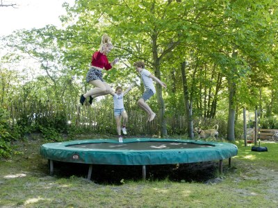 Holiday house Wilgenmeet - Outdoor photo 6