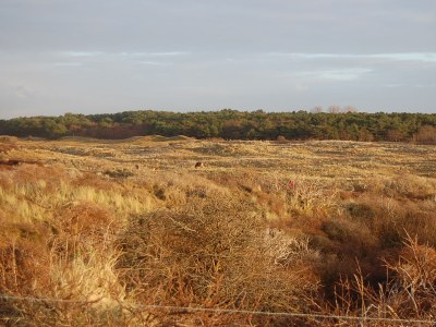 Holiday house Wilgenmeet - Environment photo 24